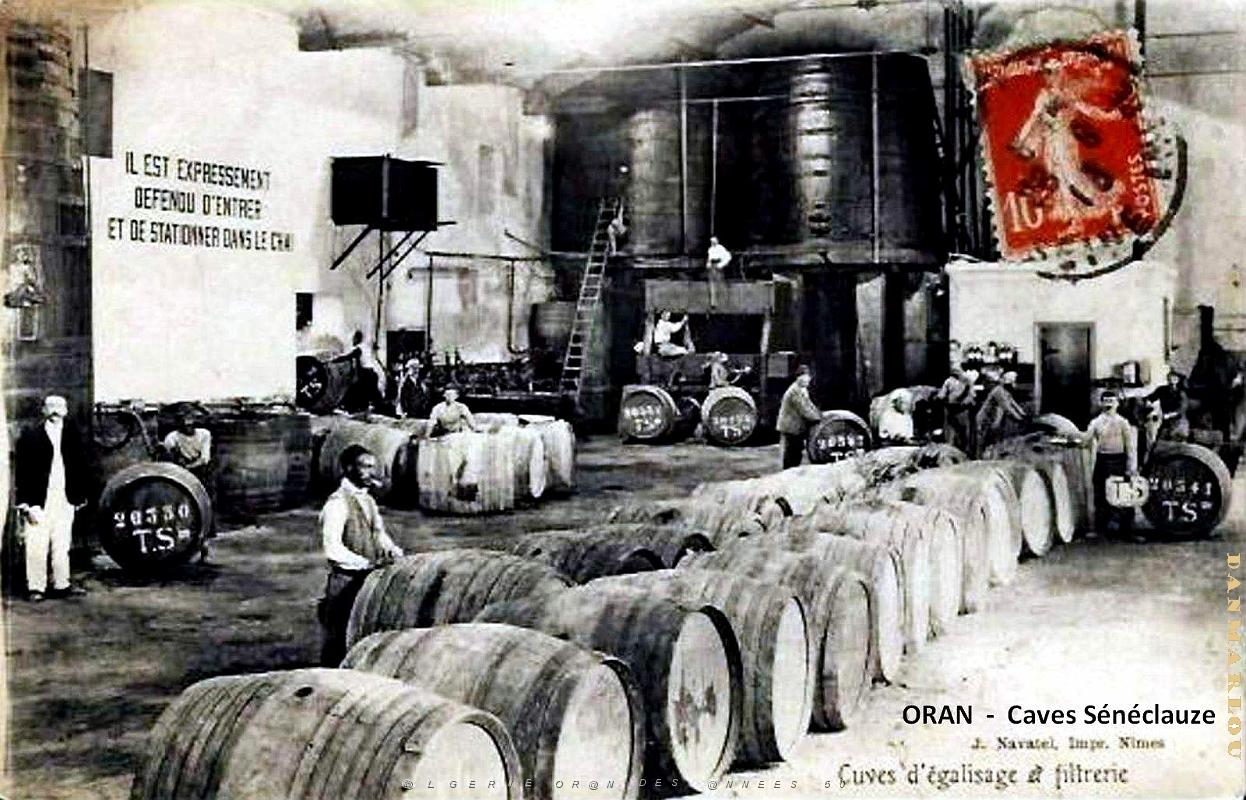 Oran - Caves Seneclauze - 1913.jpg